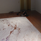 Illustration for article titled Artist Creates (And Destroys) Drawings From Thousands of Pounds of Salt